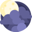 Night