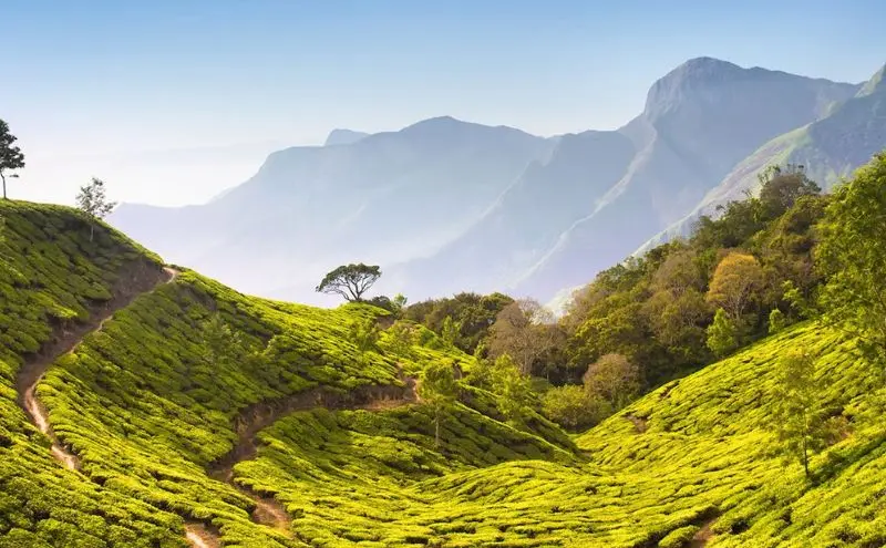 Assam