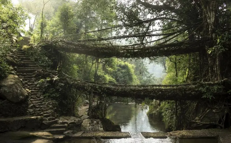 Meghalaya